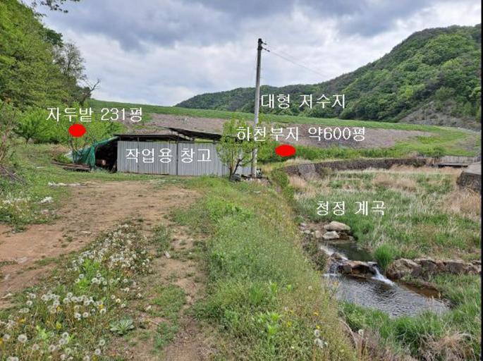 2177번 매물보기 / 김천조마면계곡접한과수원