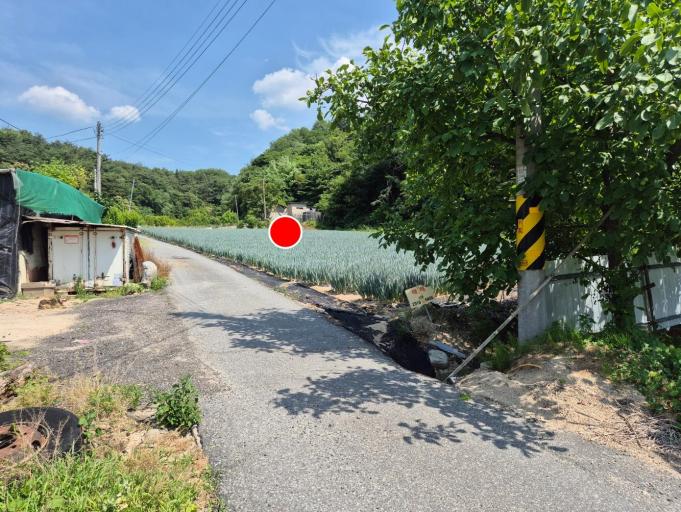 �Ա������� �������