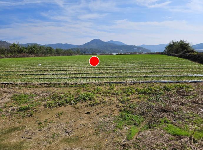 ���ýɰ���  �������� ���θ��