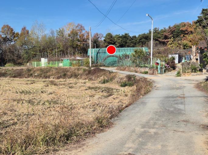 ���� �Ա��� �󸷸��
