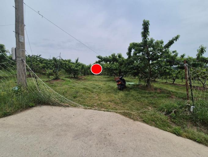 �����Ա��� ���Էθ��