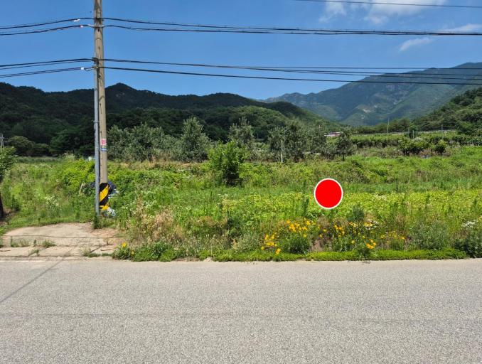 ���ο��� �������� �ٶ� �������