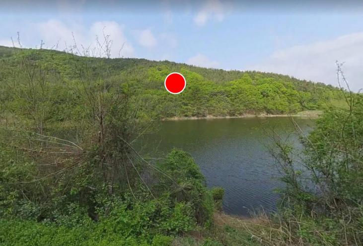 ȣ���� ������� �Ӿ߸��