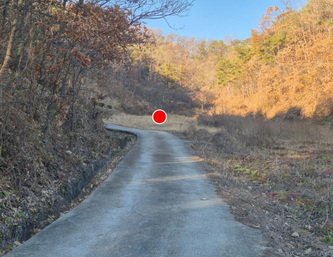 ���Ե��ο����� �������