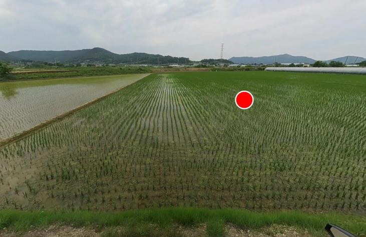 ǳ��� ��迡 ��ġ�� �������� ��������