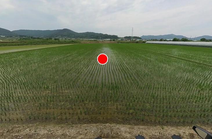 ǳ��� ��迡 ��ġ�� �������� ��������