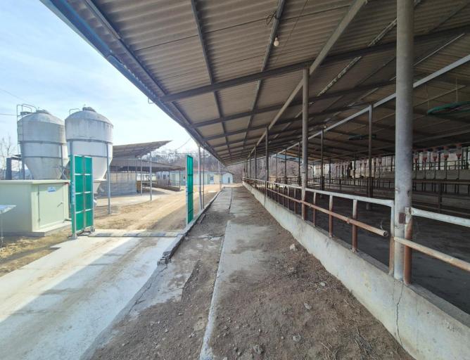 �Ա����� �ٶ� �������