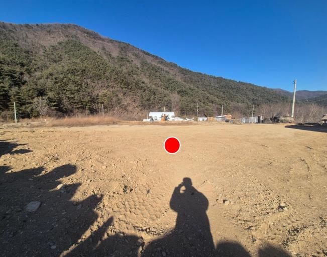 481���� ���� ���θ��