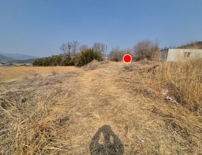 ������ �Ա��� �������