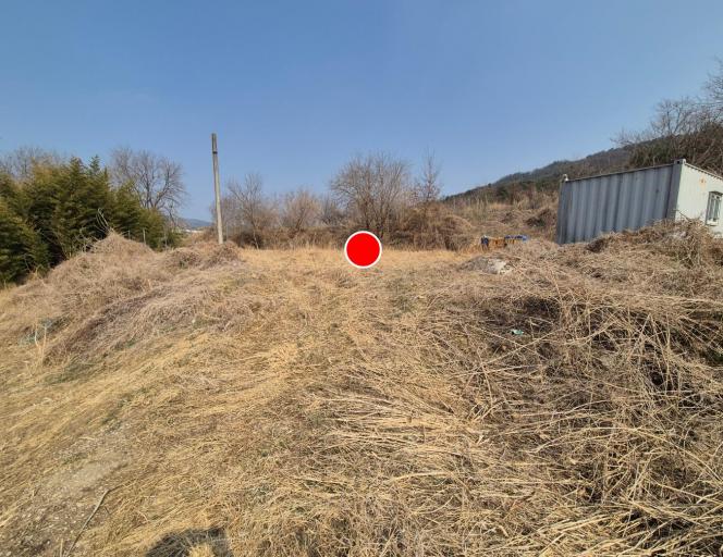 ������ �Ա��� �������