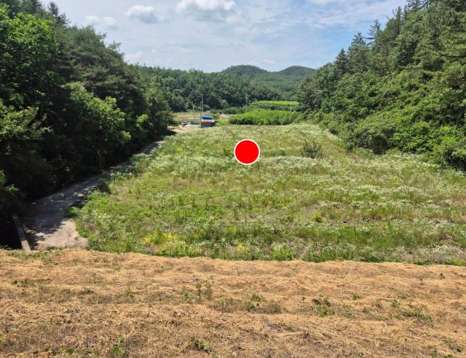 2606¹ø ¸Å¹°º¸±â / ±ºÀ§ÀÇÈï½Å´ö¸®ÁÖ¸»³óÀåºÎÁö