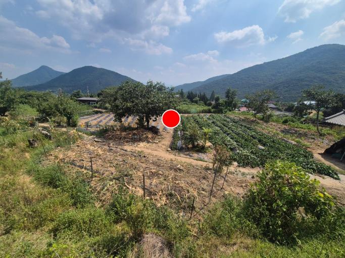 2625�� �Ź����� / ĥ����鳲��������������