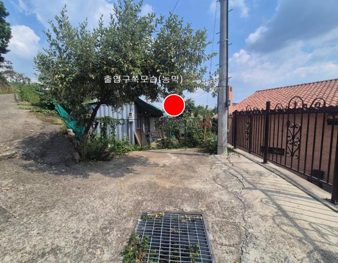 ������ �Ա� �󸷸��