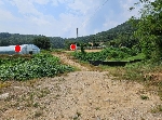 1219���Ź� �ٷΰ���