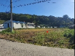 162���Ź� �ٷΰ���