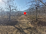 1463���Ź� �ٷΰ���