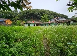 1952���Ź� �ٷΰ���