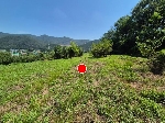 417���Ź� �ٷΰ���