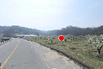 2191���Ź� �ٷΰ���