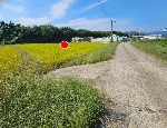 2235���Ź� �ٷΰ���