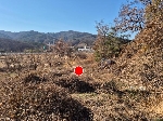 2416���Ź� �ٷΰ���
