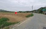 2511���Ź� �ٷΰ���