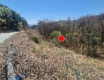 2549���Ź� �ٷΰ���