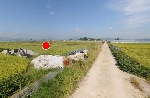 2553���Ź� �ٷΰ���