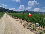 2578���Ź� �ٷΰ���