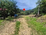 2624���Ź� �ٷΰ���