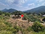 2625���Ź� �ٷΰ���