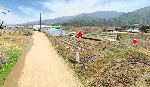 2589���Ź� �ٷΰ���