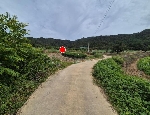 1559���Ź� �ٷΰ���